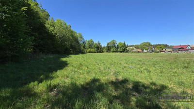 Dwie działki budowlane pod lasem w Otrzep - na rat - Otrzep   -
Zachodniopomorskie Zdjęcie nr 8