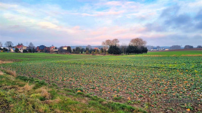Idealne miejsce na dom  działki w Marcelinie - Marcelin  -
Zachodniopomorskie Zdjęcie nr 14