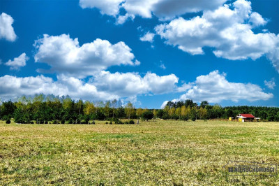 Działka budowlana blisko jeziora Dołgie - Dołgie  -
Zachodniopomorskie Zdjęcie nr 10