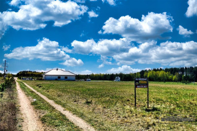 Działka budowlana blisko jeziora Dołgie - Dołgie  -
Zachodniopomorskie Zdjęcie nr 8