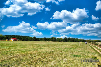 Działka budowlana blisko jeziora Dołgie - Dołgie  -
Zachodniopomorskie Zdjęcie nr 9