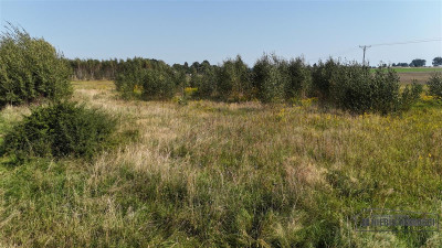 Bielikowo - działka na raty - około 20 minut od Ba - Bielikowo  -
Zachodniopomorskie Zdjęcie nr 14