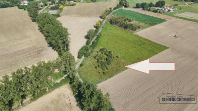 Bielikowo - działka na raty - około 20 minut od Ba - Bielikowo  -
Zachodniopomorskie Zdjęcie nr 4