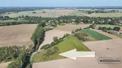 Bielikowo - działka na raty - około 20 minut od Ba - Bielikowo  -
Zachodniopomorskie Zdjęcie nr 5