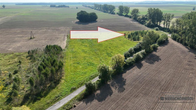 Bielikowo - działka na raty - około 20 minut od Ba - Bielikowo  -
Zachodniopomorskie Zdjęcie nr 9