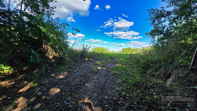 Ostrowąsy - działka budowlana - na raty - Ostrowąsy  -
Zachodniopomorskie Zdjęcie nr 14