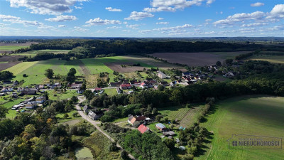 Ostrowąsy - działka budowlana - na raty - Ostrowąsy  -
Zachodniopomorskie Zdjęcie nr 6