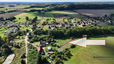 Ostrowąsy - działka budowlana - na raty - Ostrowąsy  -
Zachodniopomorskie Zdjęcie nr 7