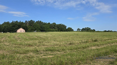 50 km od Morza Bałtyckiego Sadkowo tania działka - Sadkowo  -
Zachodniopomorskie Zdjęcie nr 7