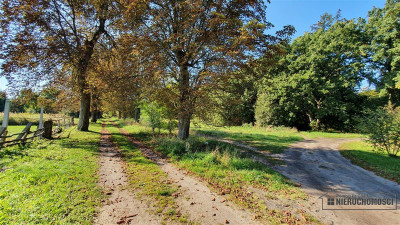 Starzyce - NA RATY - działka budowlana POD LASEM b - Starzyce  -
Zachodniopomorskie Zdjęcie nr 13