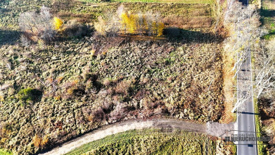 Działka blisko jeziora Komorze  4900 m2 Sikory - Sikory  -
Zachodniopomorskie Zdjęcie nr 11