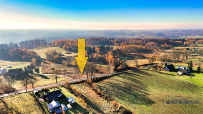 Działka blisko jeziora Komorze  4900 m2 Sikory - Sikory  -
Zachodniopomorskie Zdjęcie nr 6