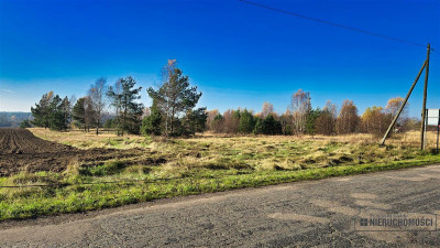Świerczyna - działka budowlana - na raty - Świerczyna  -
Zachodniopomorskie Zdjęcie nr 14