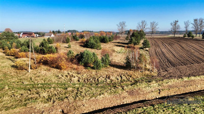 Świerczyna - działka budowlana - na raty - Świerczyna  -
Zachodniopomorskie Zdjęcie nr 8