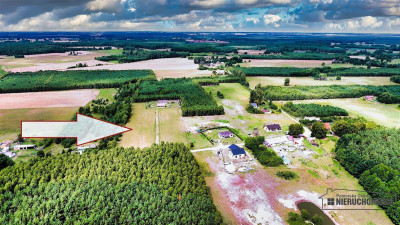 Czyżkowo - działka budowlana około 70 km od Bydgos - Czyżkowo  -
Zachodniopomorskie Zdjęcie nr 2