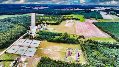 Czyżkowo - działka budowlana około 70 km od Bydgos - Czyżkowo  -
Zachodniopomorskie Zdjęcie nr 7