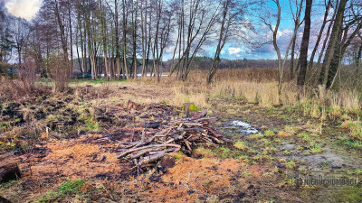 Działka przy jeziorze Trzesiecko - Szczecinek  -
Zachodniopomorskie Zdjęcie nr 4