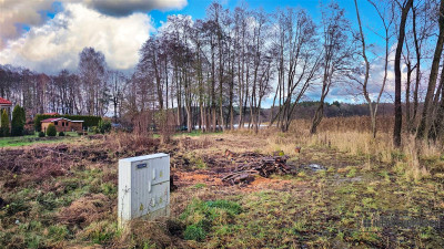 Działka przy jeziorze Trzesiecko - Szczecinek  -
Zachodniopomorskie Zdjęcie nr 5