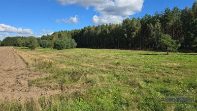 Dargikowo - działka pod lasem - 45 km od morza - n - Dargikowo  -
Zachodniopomorskie Zdjęcie nr 10