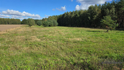 Dargikowo - działka pod lasem - 45 km od morza - n - Dargikowo  -
Zachodniopomorskie Zdjęcie nr 12