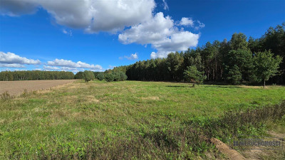 Dargikowo - działka pod lasem - 45 km od morza - n - Dargikowo  -
Zachodniopomorskie Zdjęcie nr 13