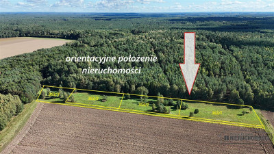 Dargikowo - działka pod lasem - 45 km od morza - n - Dargikowo  -
Zachodniopomorskie Zdjęcie nr 4