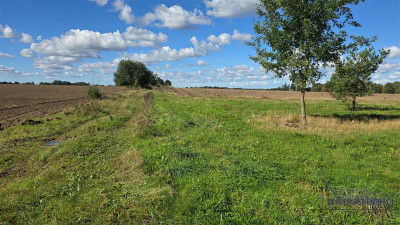 Dargikowo - działka pod lasem - 45 km od morza - n - Dargikowo  -
Zachodniopomorskie Zdjęcie nr 6