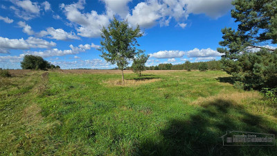 Dargikowo - działka pod lasem - 45 km od morza - n - Dargikowo  -
Zachodniopomorskie Zdjęcie nr 7
