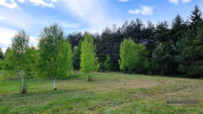 Duża działka w otoczeniu lasu Drężno - Drężno  -
Zachodniopomorskie Zdjęcie nr 11