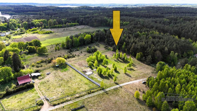 Duża działka w otoczeniu lasu Drężno - Drężno  -
Zachodniopomorskie Zdjęcie nr 2