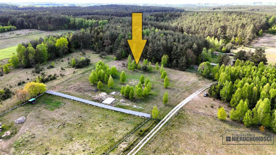 Duża działka w otoczeniu lasu Drężno - Drężno  -
Zachodniopomorskie Zdjęcie nr 4