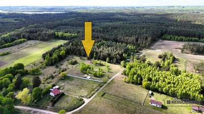 Duża działka w otoczeniu lasu Drężno - Drężno  -
Zachodniopomorskie Zdjęcie nr 6