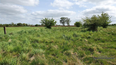 Gosław - NA RATY - 21 km od Kołobrzegu - Gosław  -
Zachodniopomorskie Zdjęcie nr 10