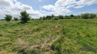 Gosław - NA RATY - 21 km od Kołobrzegu - Gosław  -
Zachodniopomorskie Zdjęcie nr 11