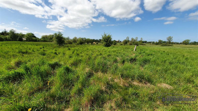 Gosław - NA RATY - 21 km od Kołobrzegu - Gosław  -
Zachodniopomorskie Zdjęcie nr 12