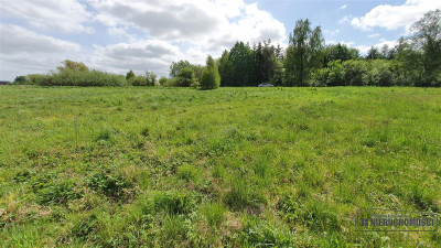 Gosław - NA RATY - 21 km od Kołobrzegu - Gosław  -
Zachodniopomorskie Zdjęcie nr 8