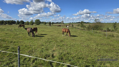 Dargikowo - działka budowlana na raty blisko morza - Dargikowo  -
Zachodniopomorskie Zdjęcie nr 13