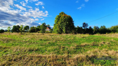 Dargikowo - działka budowlana na raty blisko morza - Dargikowo  -
Zachodniopomorskie Zdjęcie nr 5