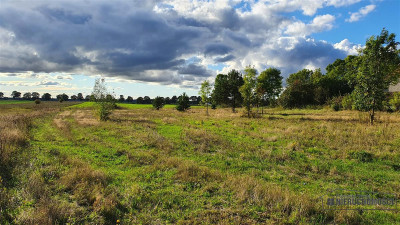 Dargikowo - działka budowlana na raty blisko morza - Dargikowo  -
Zachodniopomorskie Zdjęcie nr 6