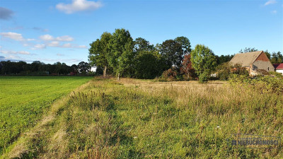 Dargikowo - działka budowlana na raty blisko morza - Dargikowo  -
Zachodniopomorskie Zdjęcie nr 8