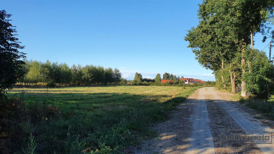 Dargikowo - działka budowlanea 45 km od morza - na - Dargikowo  -
Zachodniopomorskie Zdjęcie nr 10