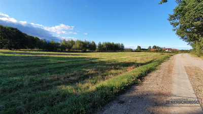 Dargikowo - działka budowlanea 45 km od morza - na - Dargikowo  -
Zachodniopomorskie Zdjęcie nr 11