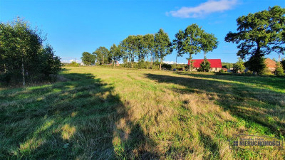 Dargikowo - działka budowlanea 45 km od morza - na - Dargikowo  -
Zachodniopomorskie Zdjęcie nr 4