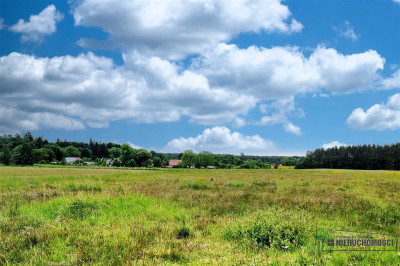 750 zł miesięcznie - kup na raty bez banku - Krytno  -
Zachodniopomorskie Zdjęcie nr 11