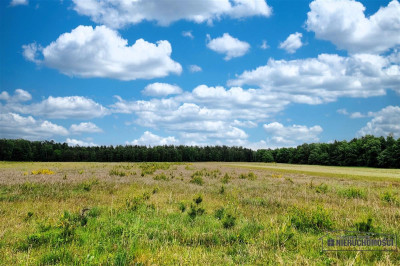 750 zł miesięcznie - kup na raty bez banku - Krytno  -
Zachodniopomorskie Zdjęcie nr 8