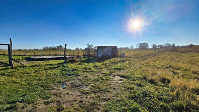 DZIAŁKA W OKOLICY JEZIORA KOMORZE - Sikory  - Zachodniopomorskie