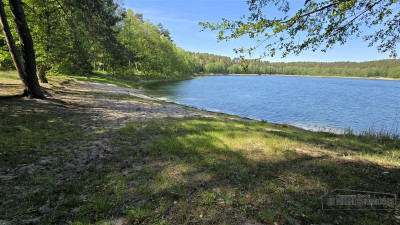Okole - Grunt siedliskowy w otoczeniu lasu ok 100 - Okole  -
Zachodniopomorskie Zdjęcie nr 12