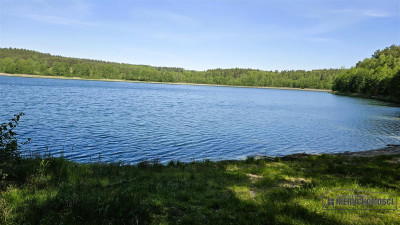 Okole - Grunt siedliskowy w otoczeniu lasu ok 100 - Okole  -
Zachodniopomorskie Zdjęcie nr 14