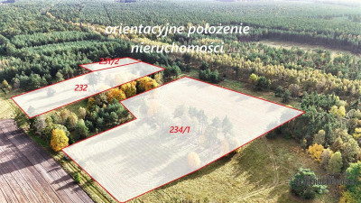 Grunty pod lasem w Świerczyna - na raty - Świerczyna  -
Zachodniopomorskie Zdjęcie nr 6
