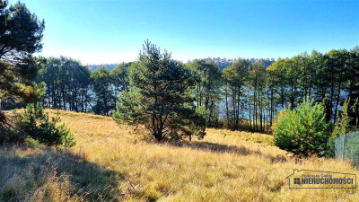 Unikat Działka z dostępem do jeziora Dołgie - Dołgie  -
Zachodniopomorskie Zdjęcie nr 10